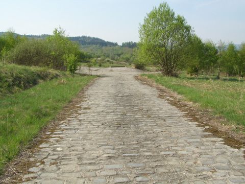 Foto 22